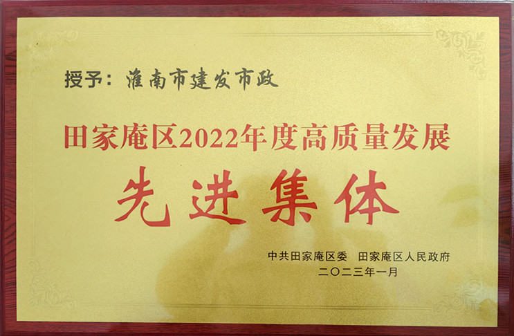 2022田家庵区先进整体